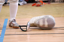 fencing