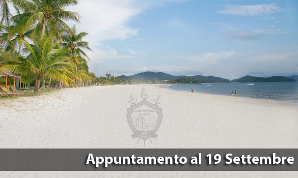 Vacanze estive 2011